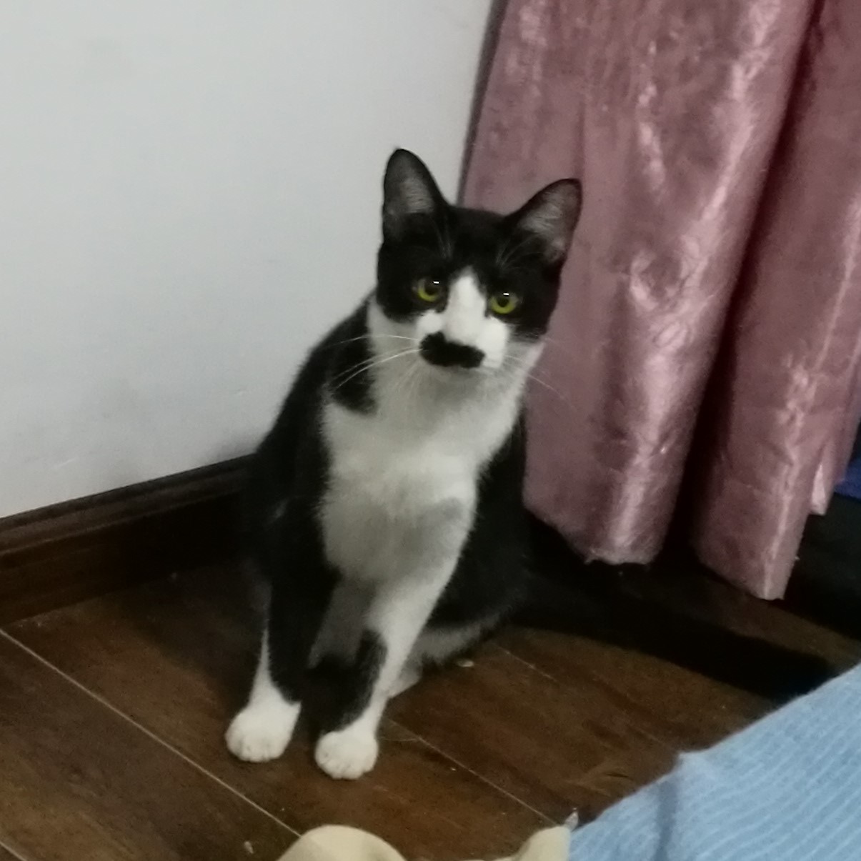 What are you looking at?